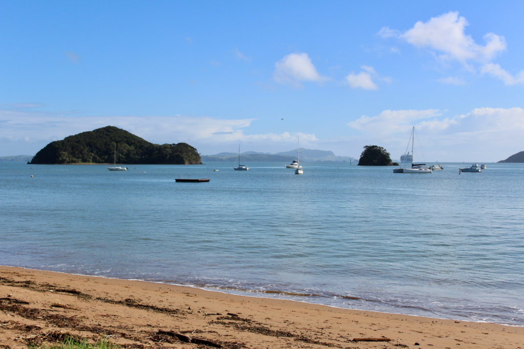 Sunny beach with boats in the harbor